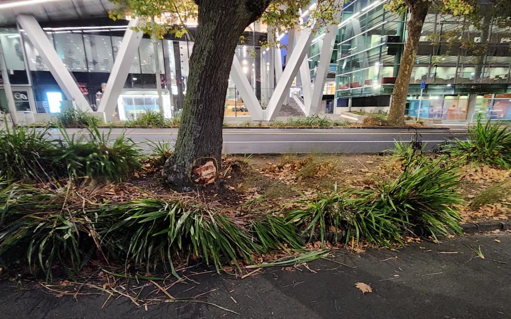 Cordons had been removed on Tuesday 25 March at the scene of a crash outside Auckland University that injured three pedestrians.