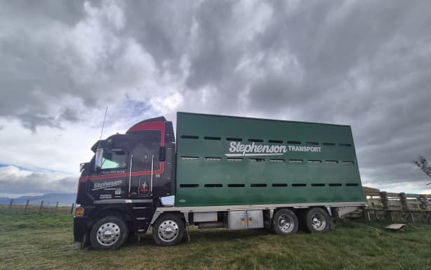 Country Life: Riding along with the truckies moving cattle | RNZ