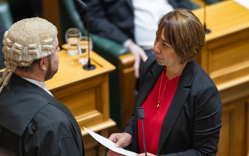 Scenes from Parliament on Commission Opening Day 2023