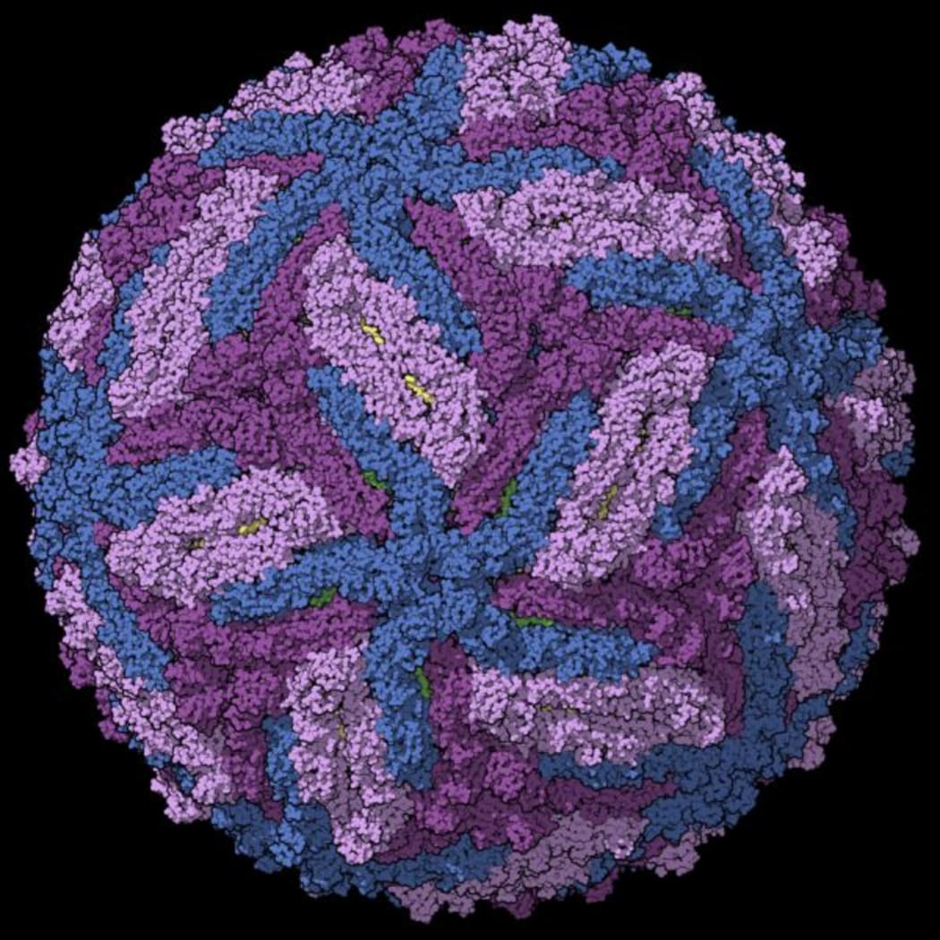 Zika virus capsid, colored per chains