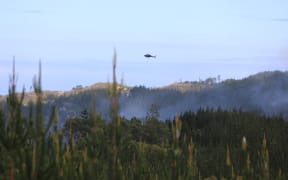 Waipoua fire