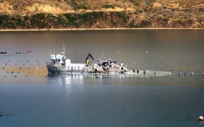 Workers at a mussel farm in the Marlborough Sounds.