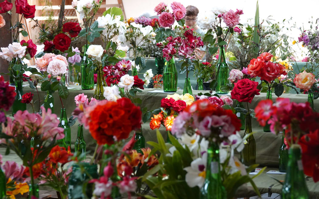 Blooms galore fill the competition hall, at the Bay of Islands Pastoral and Industrial Show, on 9 November, 2024.
