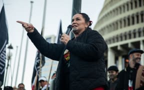 Te Pāti Māori co-leader Debbie Ngarewa-Packer speaks to protesters at Parliament following the debate deferral.