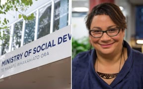 Metiria Turei