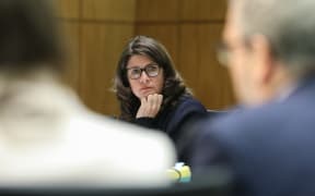 National MP Denise Lee in Select Committee