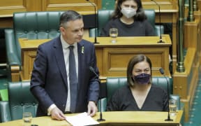 Green Party co-leader James Shaw speaks in response after an address from Ukraine President Volodymyr Zelensky.