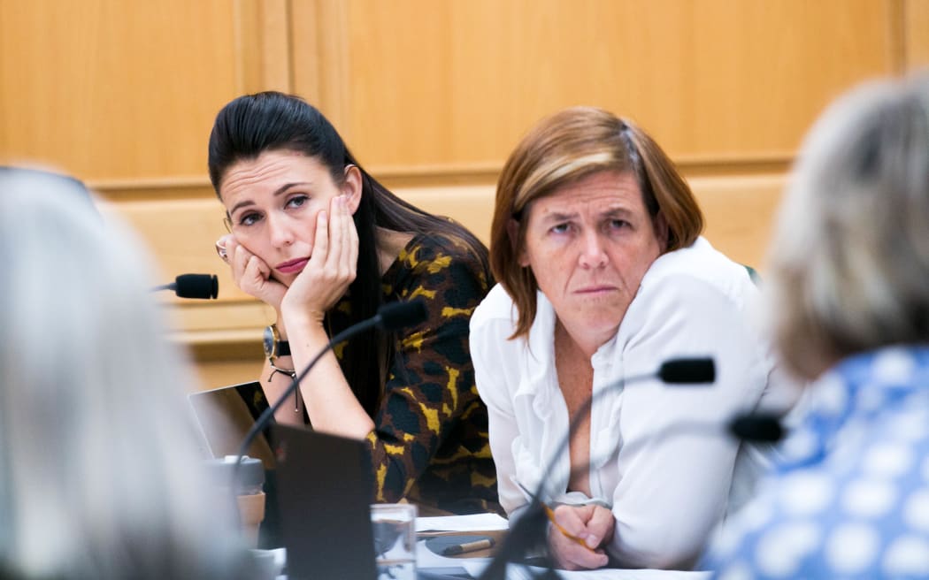 Labour deputy leader Jacinda Ardern and Green Party's Jan Logie on the Social Services Select Committee.