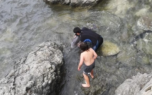 Two people stand above a stricken dolphin.