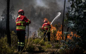 Firefighters battle a wildfire in Carrascal, Proenca a Nova on August 6, 2023. More than 1,000 firefighters battled a wildfire in central Portugal today as officials warned that thousands of hectares were at risk amid soaring temperatures across the country. (Photo by Patricia DE MELO MOREIRA / AFP)