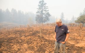 Property owner Chris Schrobilgen stands in his neighbor's burned grape vineyard in Calistoga, California.