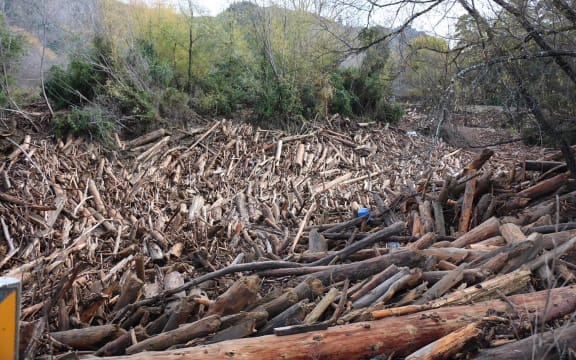 Logging detritus brought down by heavy rain sits at the Mangatokerau Bridge, near Tolaga Bay on the East Coast.