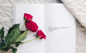 Red rose and poetry