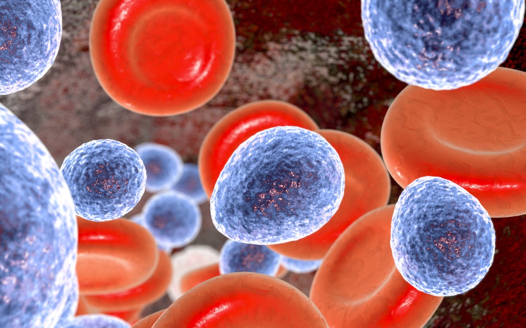 A computer illustration of the unicellular fungus (yeast) Candida auris which was first identified in 2009. It causes serious multidrug-resistant infections in hospitalized patients and has high mortality rates. It causes bloodstream, wound and ear infections and has also been isolated from respiratory and urine specimens. Most C. auris infections are treatable with antifungals from the echinocandin group of drugs. (Photo by KATERYNA KON/SCIENCE PHOTO LIBRA / KKO / Science Photo Library via AFP)