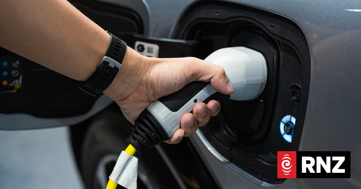 Surging EV sales in 2026 not just temporary - market analyst