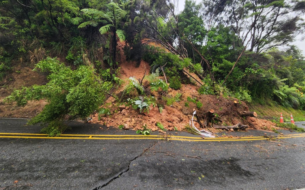 A sinkhole on Scenic Drive in West Auckland's Swanson has developed following wild weather in the region.