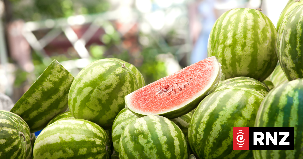 Watermelon growers in Tonga furious at missing NZ shipment | RNZ