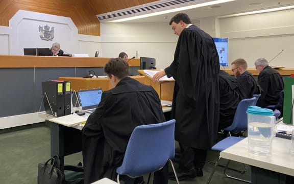 Tiho Mijatov makes opening submissions to Wellington High Court.