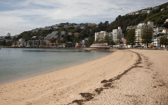 Wellington's Oriental Bay during the Covid-19 alert level four lockdown.