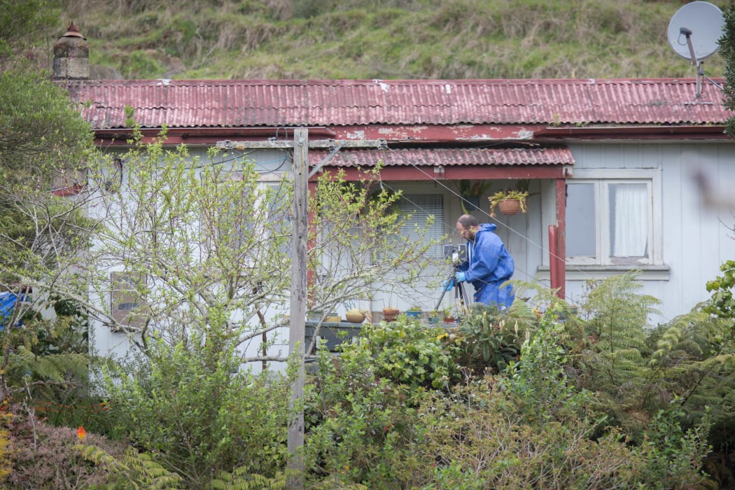 Ross Bremner case - Taharoa property