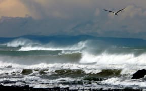 A stormy Spring day on Sumner Beach, Christchurch.