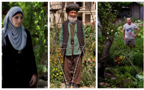 Images from War Gardens by Lalage Snow