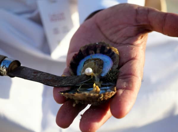 A hand holds an oyster which contains a pearl.