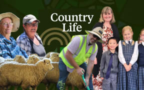 Summer Series: Country Life 20 January