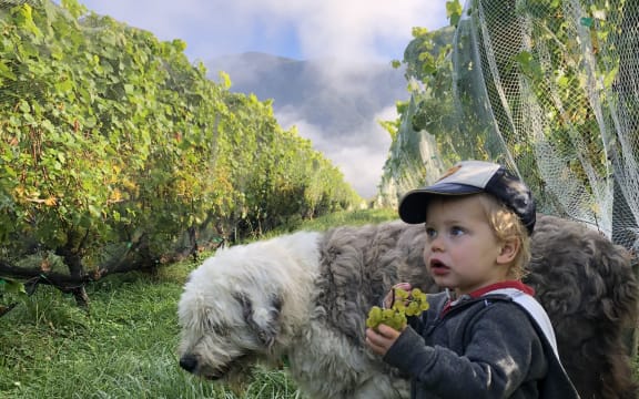 Parker Skinner and dog Windsor at Esses Winery, Kaikōura