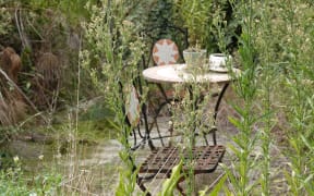 The former lawn leading to the river is now overgrown with weeds.