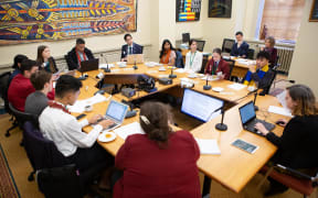 Members of the Youth Parliament 2019 Education and Workforce Select Committee hear submissions on improving education methods to better support students of all ethnicities.