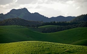 Rolling hills in the Northland region, New Zealand.