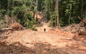 Deforestation in Brazil's Amazon rainforest rose by almost 22 percent from August 2020 to July 2021.