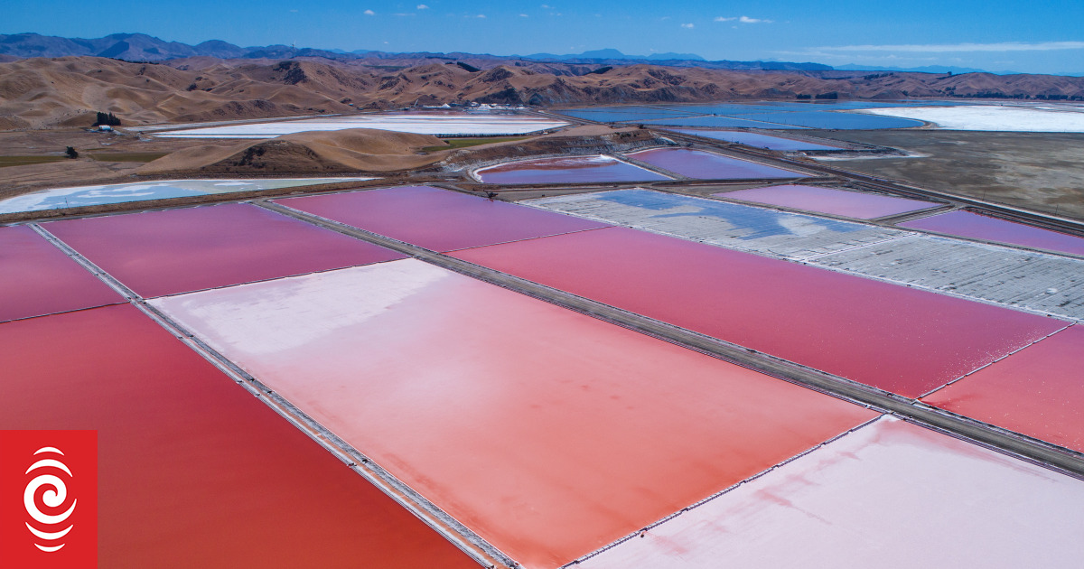 Marlborough drought a boon for Lake Grassmere salt works - Vimarsana News