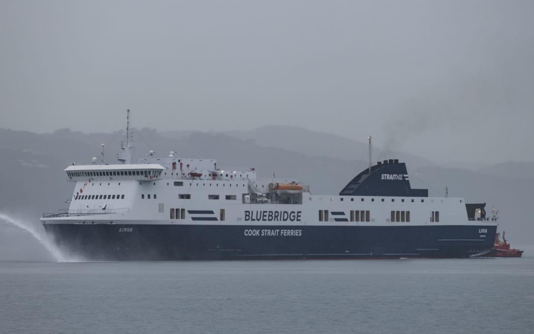 Bluebridge Livia