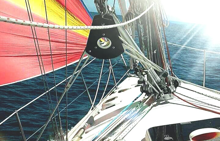 Scoundrel on Tasman Bay.