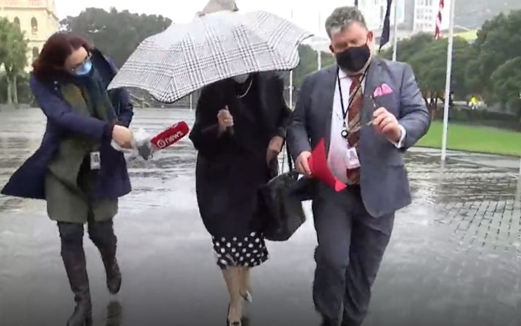 TVNZ's Maiki Sherman confronts new National Party president Sylvia Wood outside Parliament.