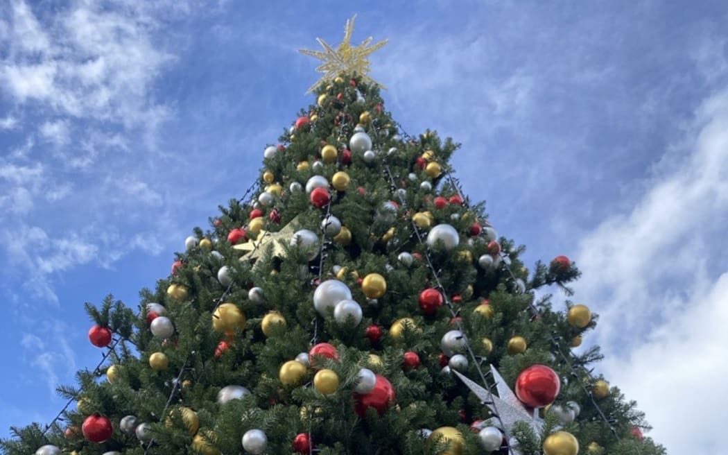 Timaru's Christmas tree pre-fire.