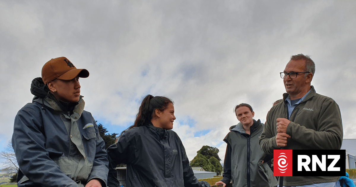 Schooling up the next generation of Kiwi farmers | RNZ
