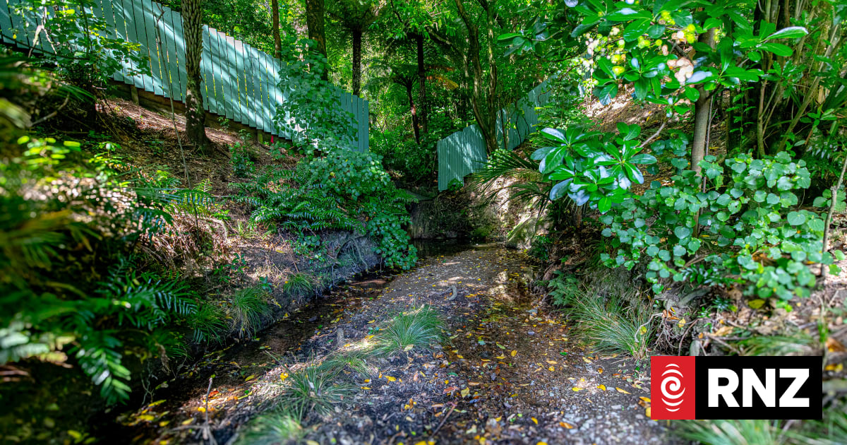 The hidden river that shapes central Wellington | RNZ