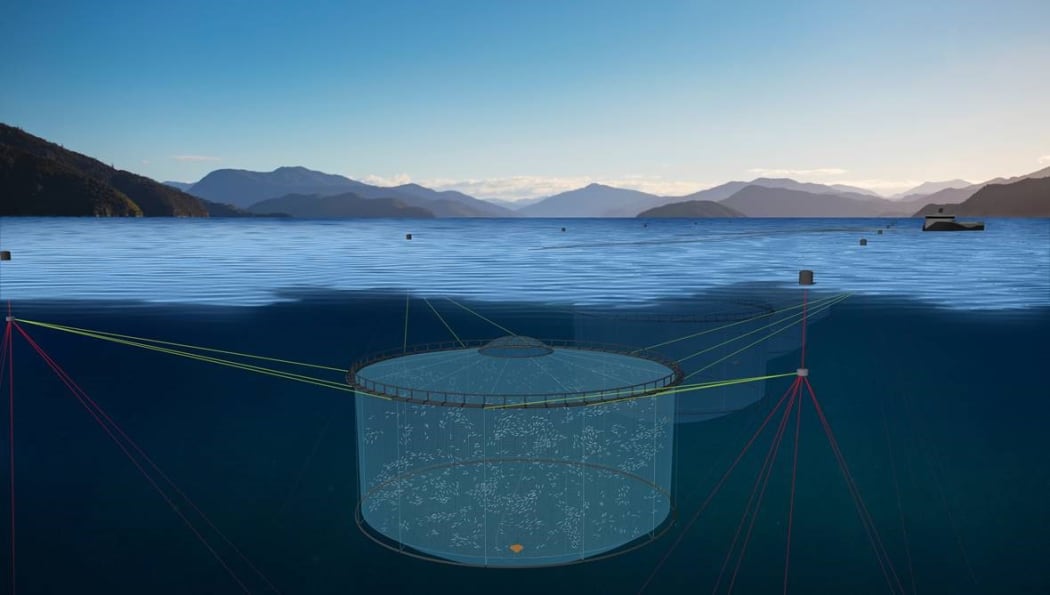 Graphic of an open ocean salmon farm