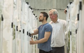 Emiliano Veronesi with Professor Steve Wratten, who has since died