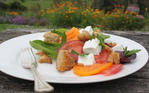 Marinated buffalo cheese salad