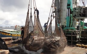 The Marshall Islands expects its fisheries revenue will be down by as much as 20 percent, the first decline after eight years of revenue increases — in part because tuna transshipment operations (pictured) are down 60 percent in 2020