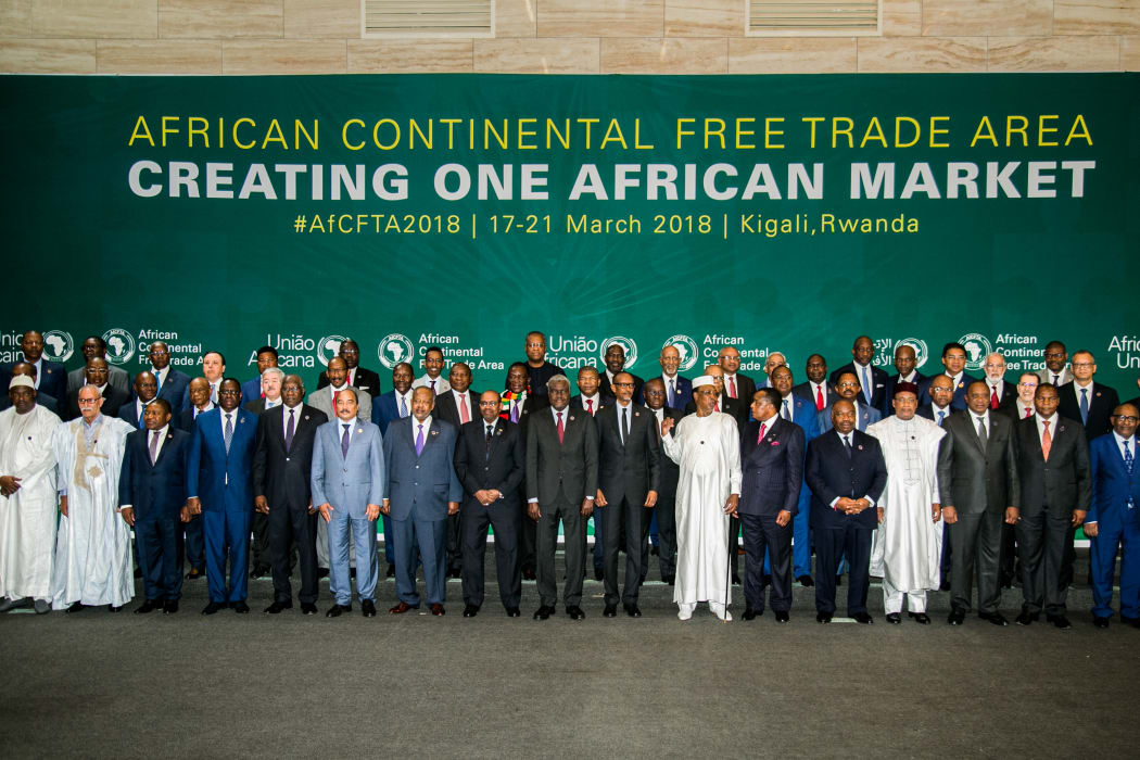 Heads of state from African governments pose during the African union summit.