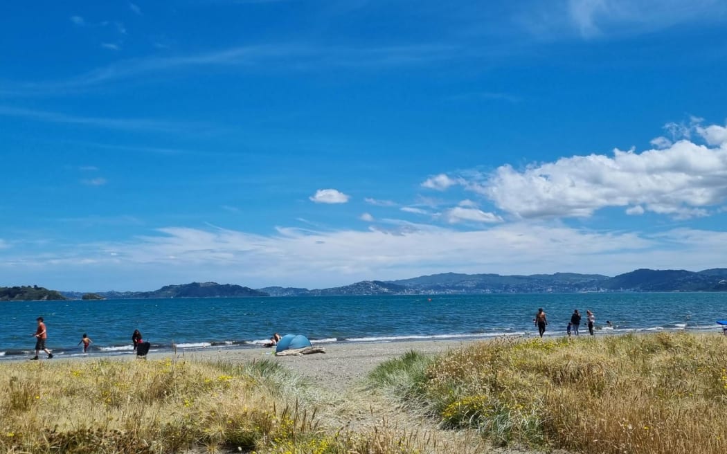 Petone Beach in Wellington on a hot summer's day. 10 January 2024.