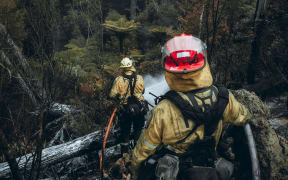 Five fire crews have been at the site of the Trentham scrub fire today.