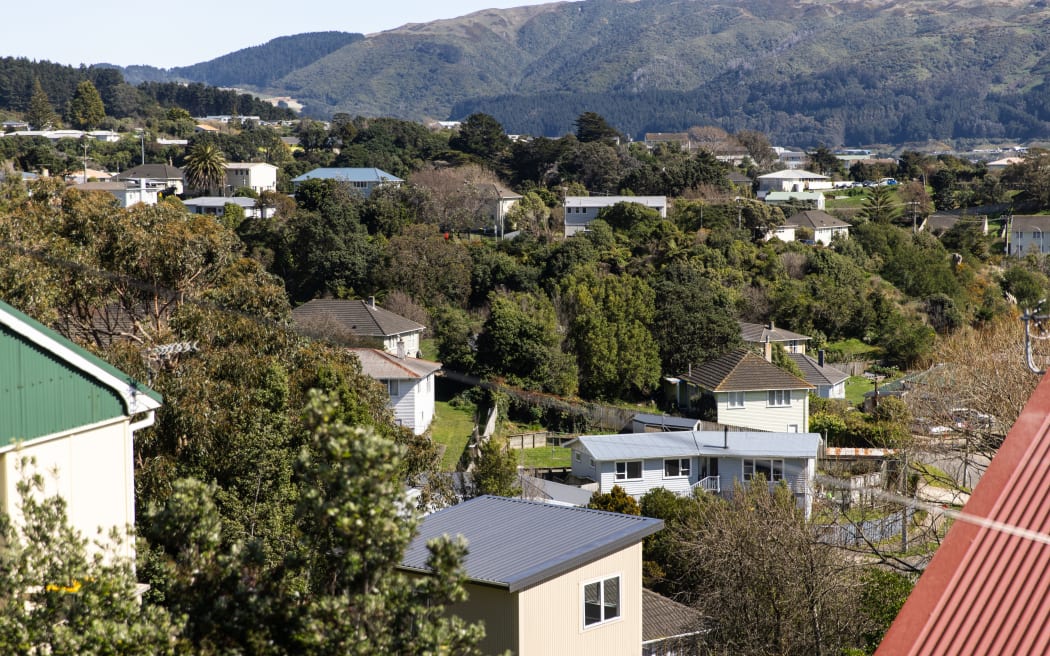 Cannons Creek houses
