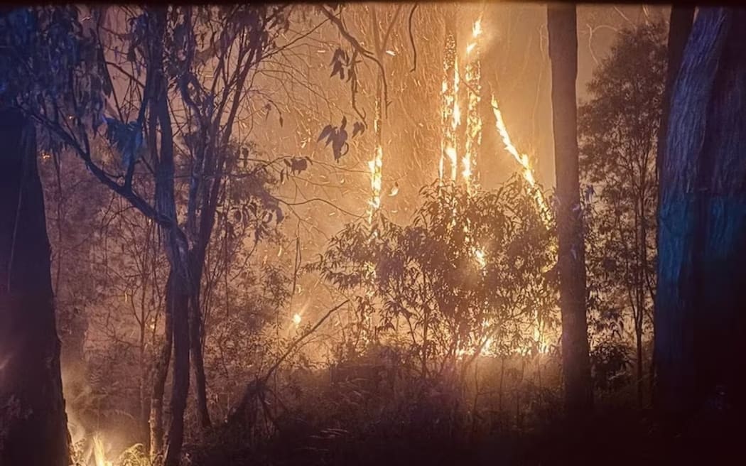 There are concerns for the Otways koala population as the fire continues to burn.