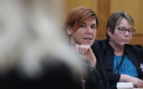 Green MP Jan Logie in committee